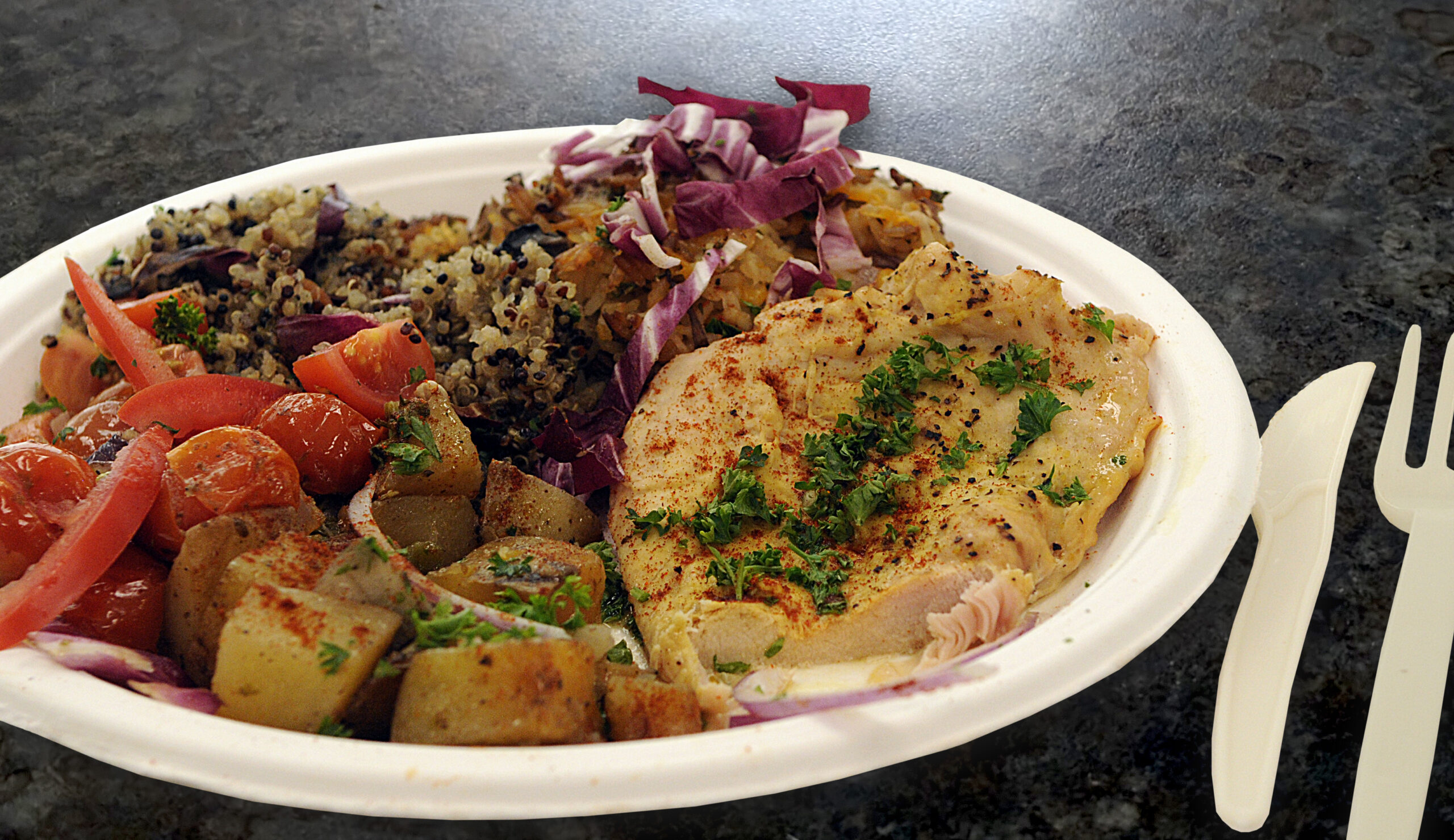 Dish01