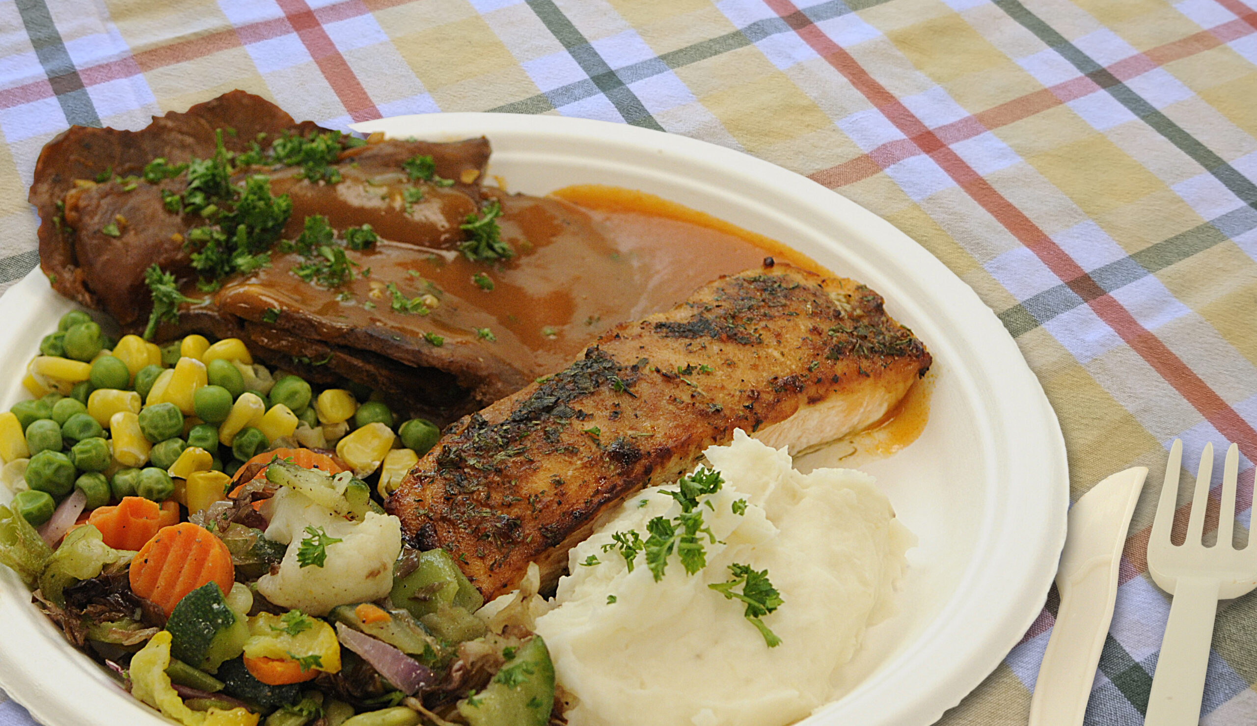 Dish04
